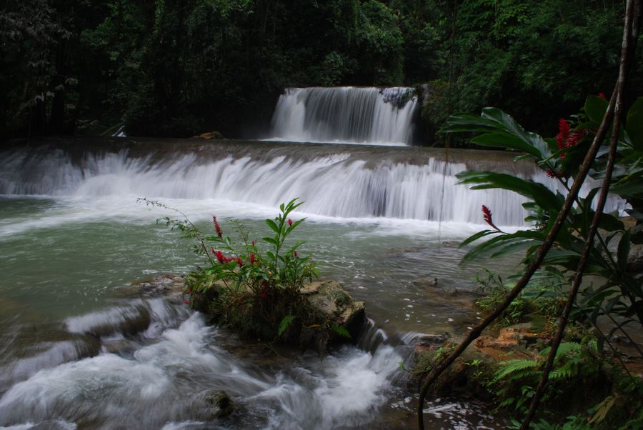 Property image of YS Falls Estate